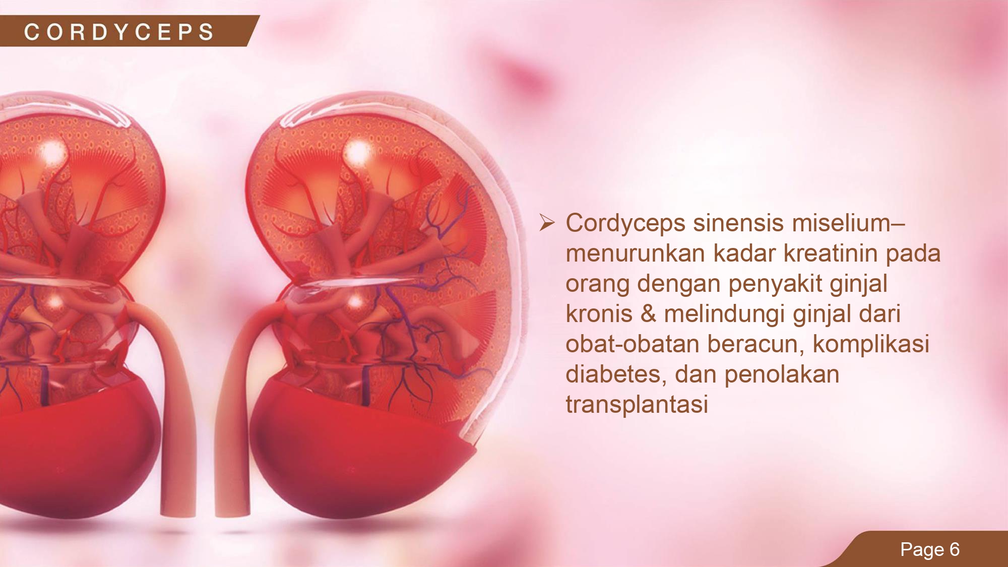 Education content image